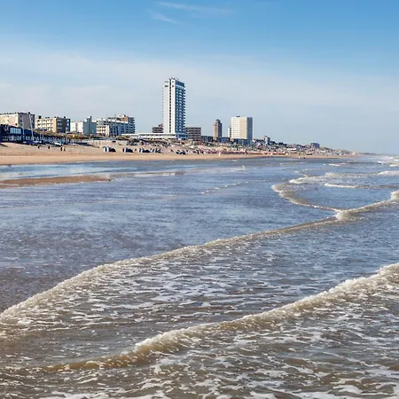 Forest And Ocean Zandvoort