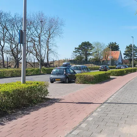 Forest And Ocean Zandvoort