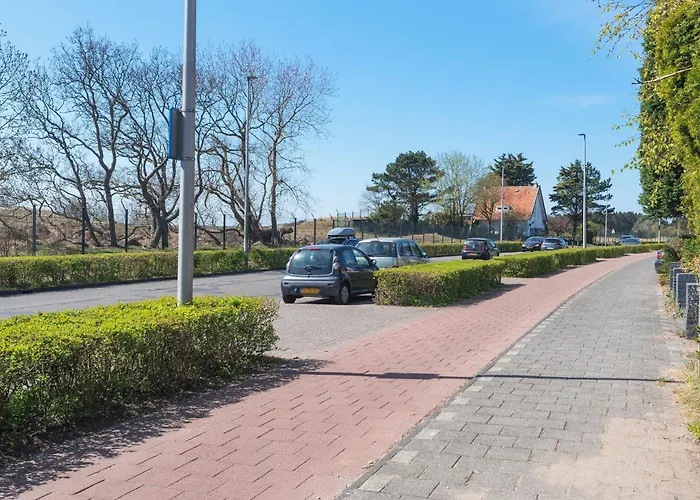 Forest And Ocean Zandvoort